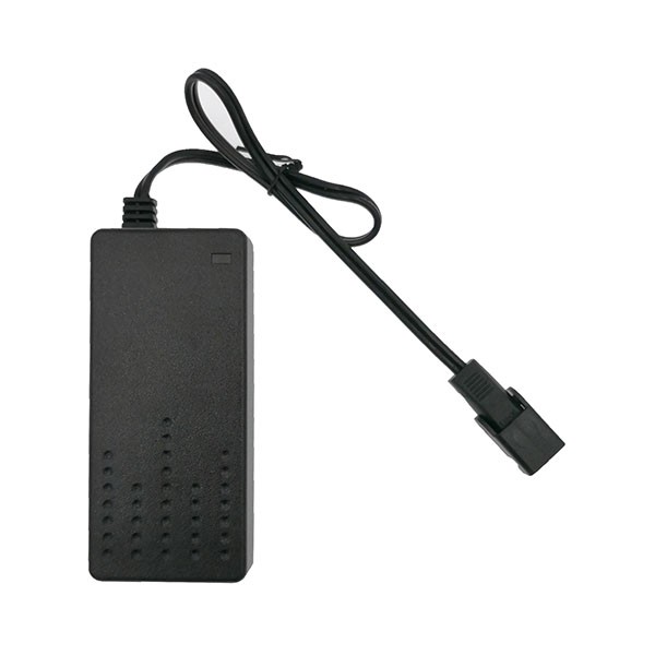 48 Volt Lead Acid Battery Charger