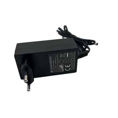 Adapter 48V DC Adapter 12V4A 24V2A For Massager